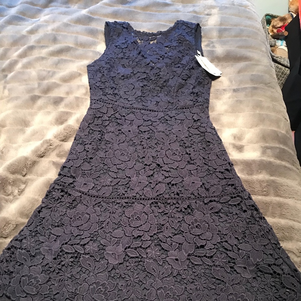 BNWT Joie Navy Blue Lace Dress